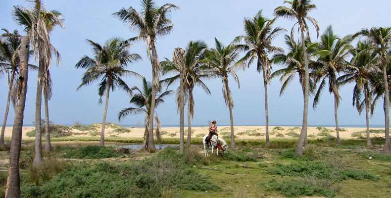 E01 Sri Lanka 1.jpg